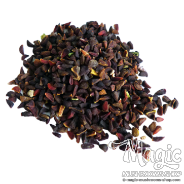 Syrian Rue (Peganum harmala) seeds