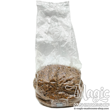 Sterile Millet Spawn Bag  Sterile Millet Spawn Bag