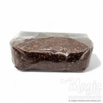 Mushroom Substrate Kit XL 