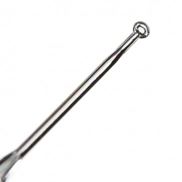 inoculation or smear loop