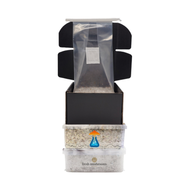 Magic mushroom combi pack