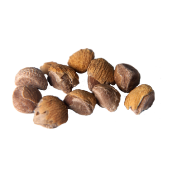 hawaiian baby woodrose seeds