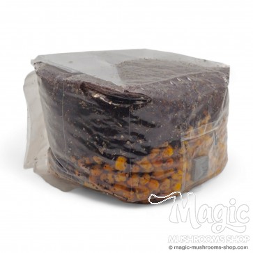 All-in-one Mushroom Grow Bag