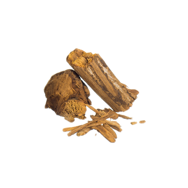 Banisteriopsis caapi | Red Brazil