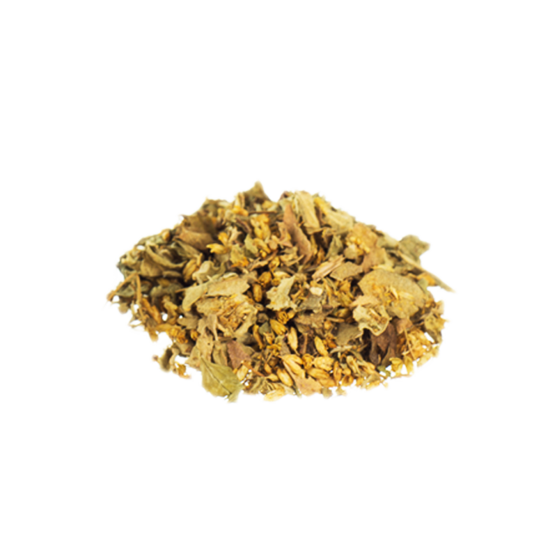 Dream Herb | Calea zacatechichi 
