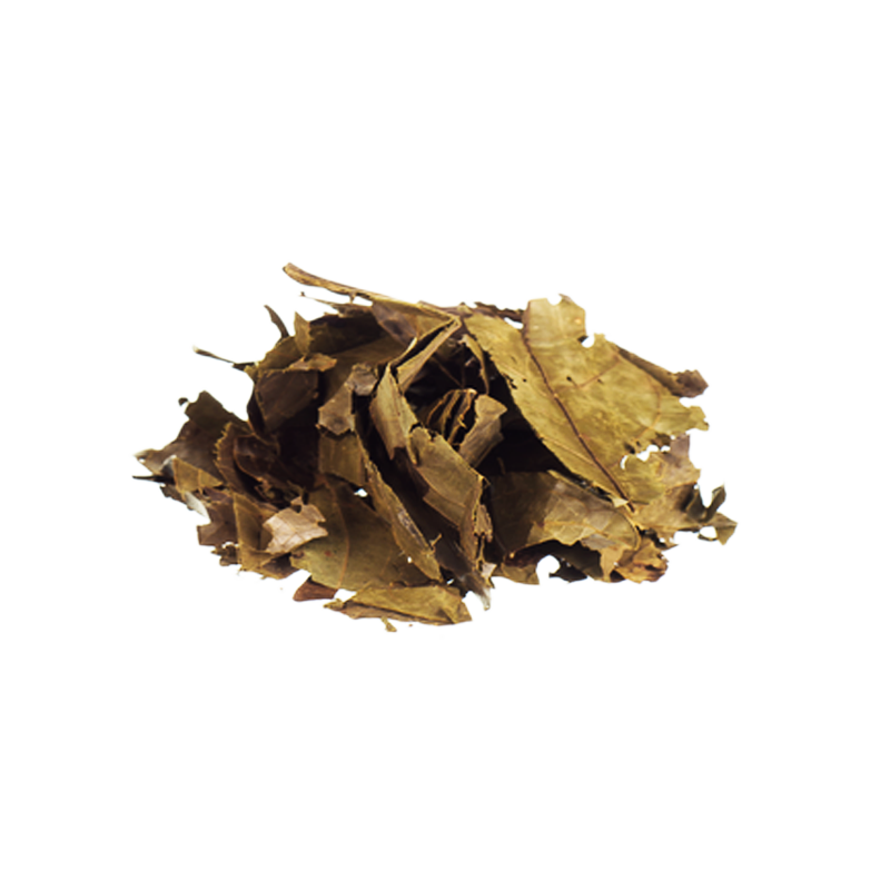 Chaliponga Diplopterys cabrerana 