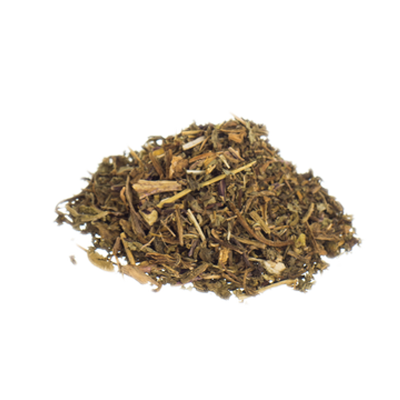 Wild lettuce | Lactuca virosa