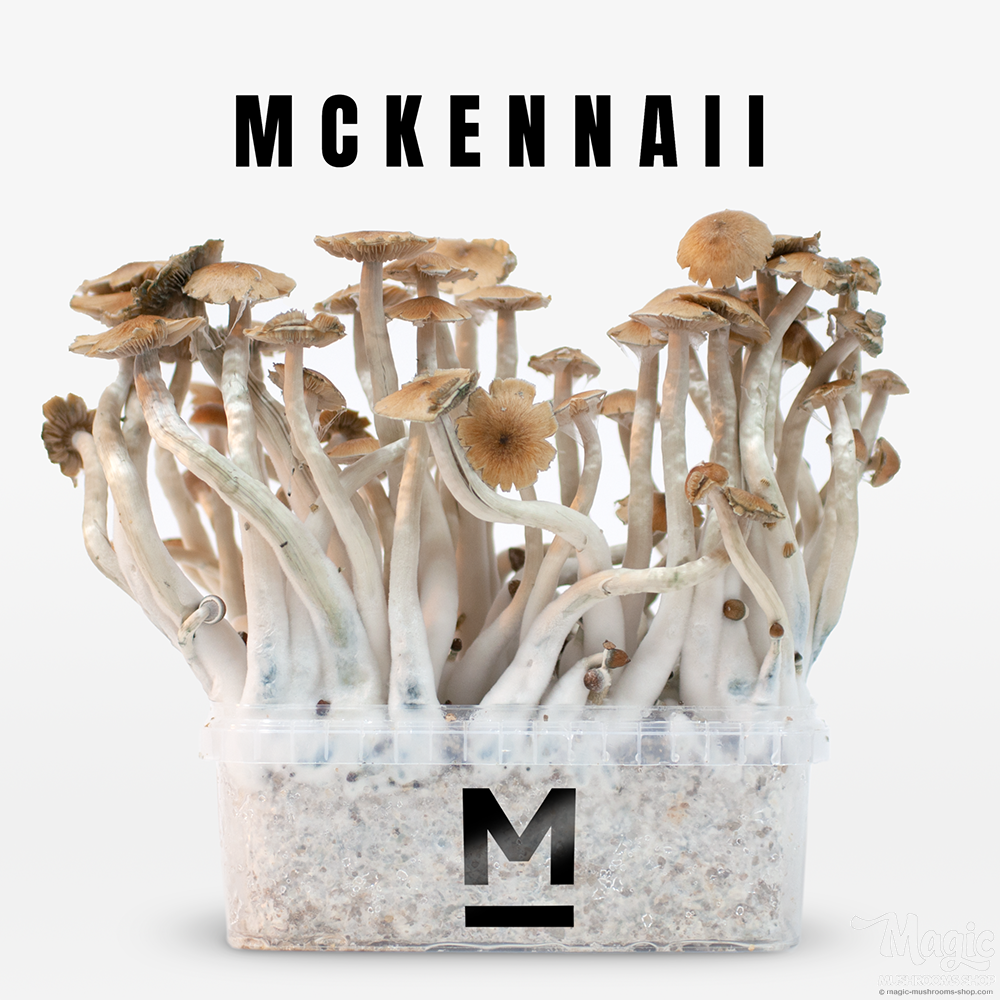 Flush of McKennaii Flush of McKennaii