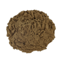 Bay Bean Canavalia Maritima Extract 25x | 3 grams