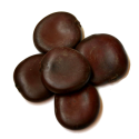 African Dream Seed | Entada Rheedii - 1 seed