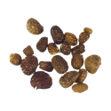 Mapacho Seeds | Nicotiana Rustica | 20 seeds