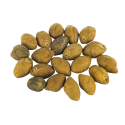 Ololiuqui seeds | Rivea Corymbosa | 20 seeds