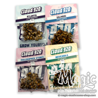 Classic Magic Truffles Value pack