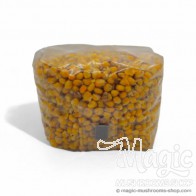 Sterile Corn Spawn Bag