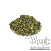 Catmint | Nepeta cataria