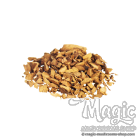Galangal | Alpinia officinarum