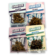 Classic Magic Truffles Value pack