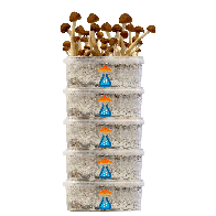 GetMagic® 5 Pack Grow Kit Discount Deal