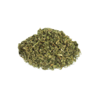 Catmint | Nepeta cataria 