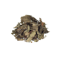 Chacruna Psychotria viridis  