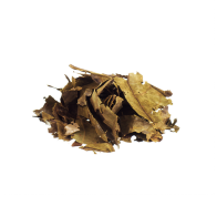 Chaliponga Diplopterys cabrerana 