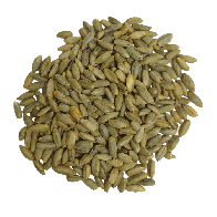 Organic Rye Berries