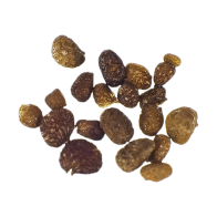 Mapacho Seeds | Nicotiana Rustica | 20 seeds