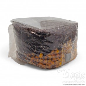 All-in-one Mushroom Grow Bag All-in-one Mushroom Grow Bag