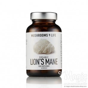  Lion’s Mane Hericium erinaceus Capsules 