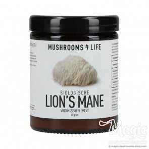 Lion's Mane Hericium erinaceus Powder | Mushrooms4life