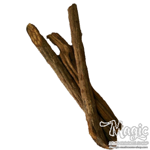  Banisteriopsis Caapi Trueno, shredded