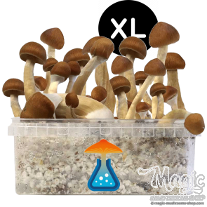 GetMagic B+ XL Grow Kit GetMagic B+ XL Grow Kit