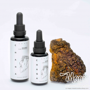 Chaga mushroom extract