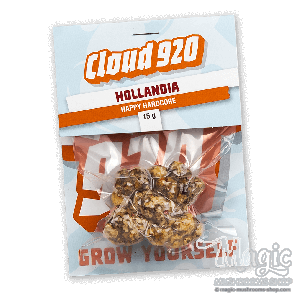 Magic Truffles Hollandia