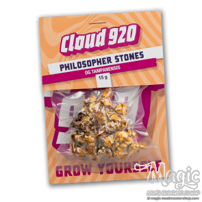 Truffles Tampanensis