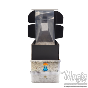 Magic mushroom combi pack