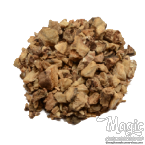 Devil's Claw Harpagophytum Procumbens