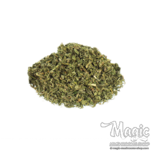 Catmint | Nepeta cataria 