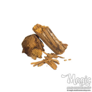 Banisteriopsis caapi | Red Brazil