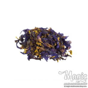 Blue Lotus (Nymphaea caerulea)