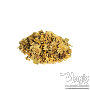 Dream Herb | Calea zacatechichi 