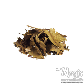 Chaliponga Diplopterys cabrerana 