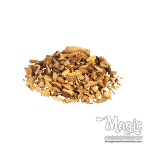 Galangal | Alpinia officinarum raw