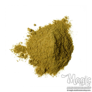 Muira Puama | Ptychopetalum Olacoides | Extract 25x