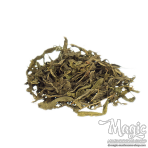 Sinicuichi | Heimia salicifolia