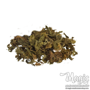 Klip Dagga | Leonotis nepetifolia