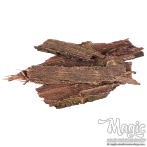 Mimosa hostilis Jurema Preta  Rootbark DMT