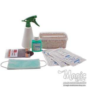 Magic Mushroom Grow Kit 1200cc Starter Pack  Starter Pack Magic Mushroom Grow Kit 1200cc Starter Pack  Starter Pack
