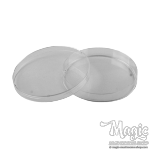 Petri Dish