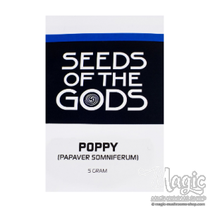 Poppy | Papaver Somniferum